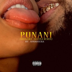 punani (drogaba/ Joanna remix)