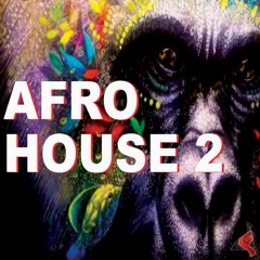 AFRO HOUSE 2 PROMO ONLY