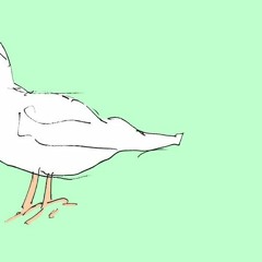 Ｆｅａｔｈｅｒ