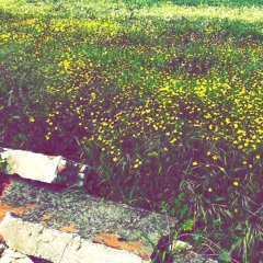 Gravitje - Ascension (No Drums)