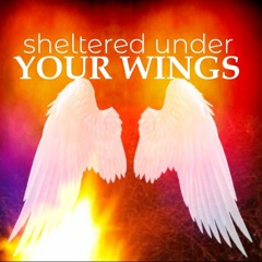"Sheltered Under Your Wings" - Prophetic Worship Live Recording