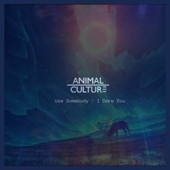 Kings of Leon - Use Somebody Vs The xx - I Dare You (Animal Culture Cover)