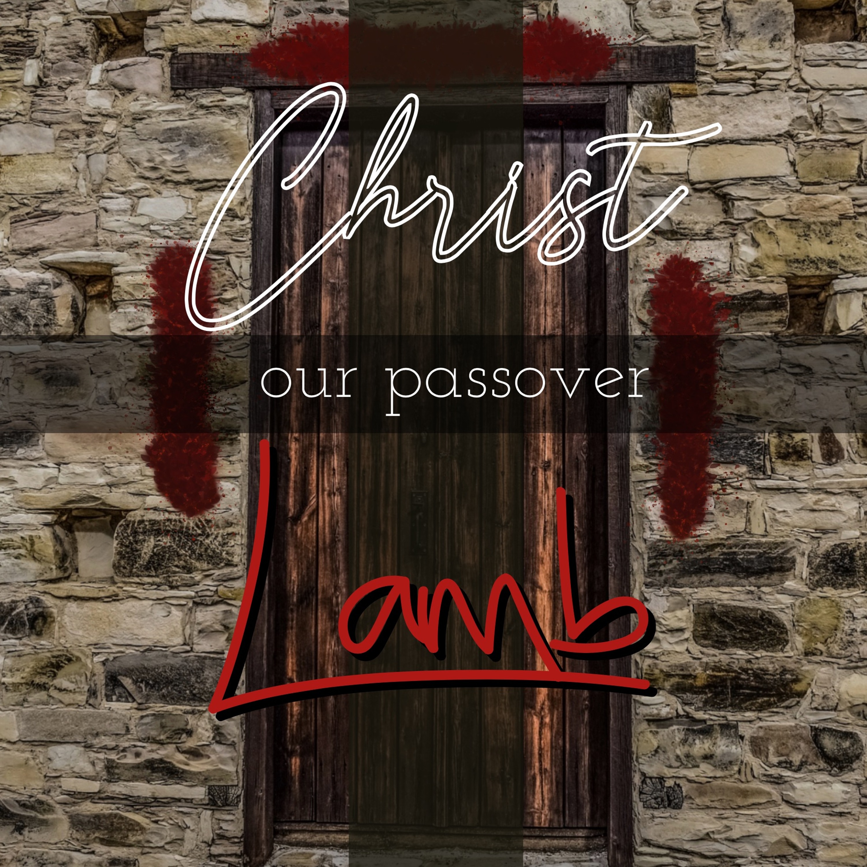 -Our Passover - Exodus 11:1-12:14 episode artwork