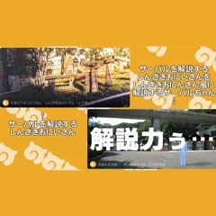 しんざきおにいさんを解説するサーバルちゃん