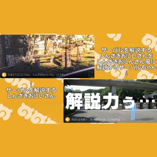 しんざきおにいさんを解説するサーバルちゃん By Ito 11