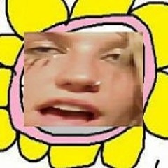 kescha funni