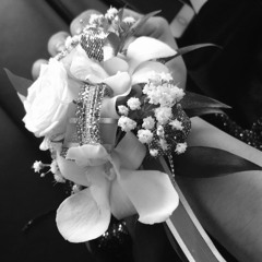 hang on by johnnyboy