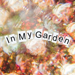 In My Garden