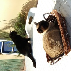 Your smile (cover) by LoLou