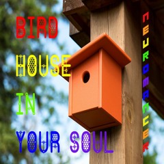 Neuromancer - Bird House In Your Soul [Dirty Bird House]