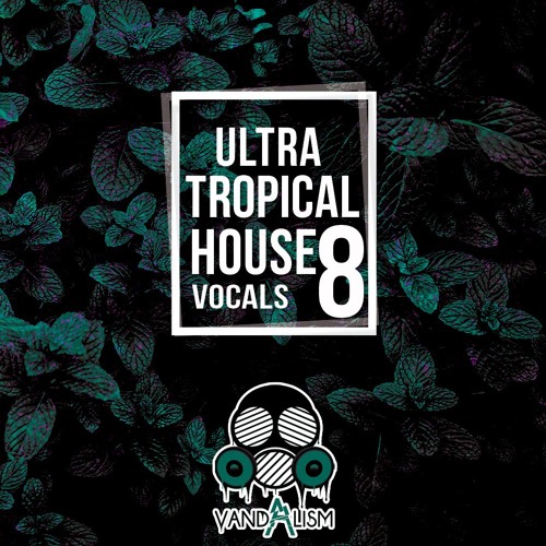 Vandalism Ultra Tropical House Vocals 8 MULTiFORMAT-DECiBEL