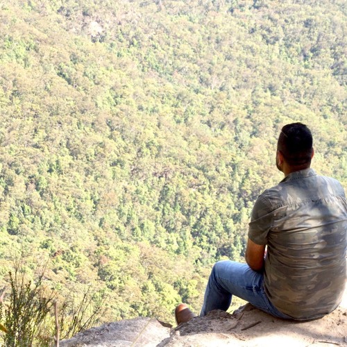 tumhe dillagi bhool jani