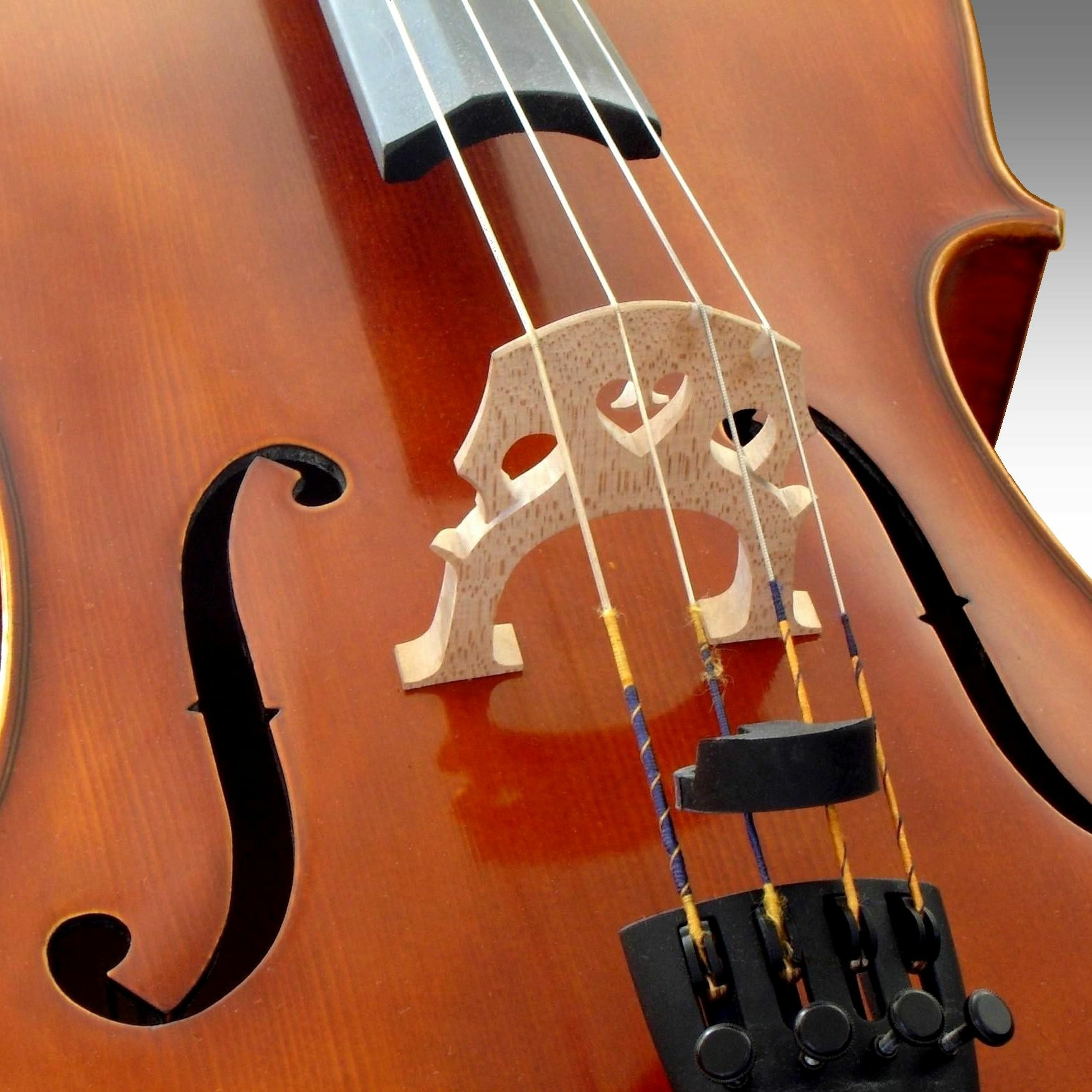 Escapades in Music