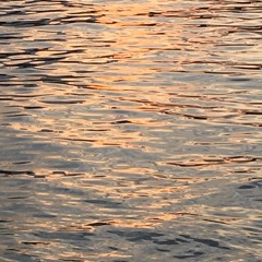 Sara Braskamp, 'Bäcken'