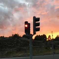 Sara Braskamp, 'Slickar tundran'