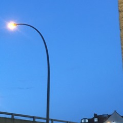 Sara Braskamp, 'Den där punkten'