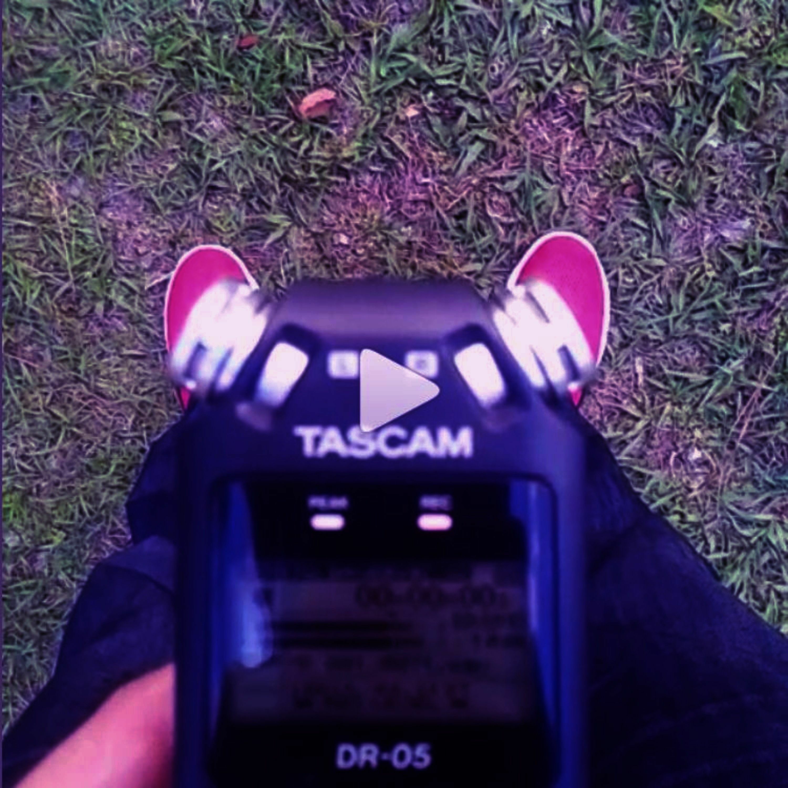 TASCAM JIBBERISH (DAILY RAMBLES) episode artwork