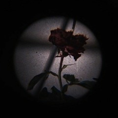 Пl3nk - Nostalgia