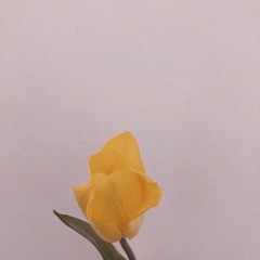 향수