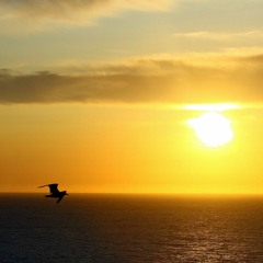 Darude - Sandstorm (Vintage Culture Zerky VIP)