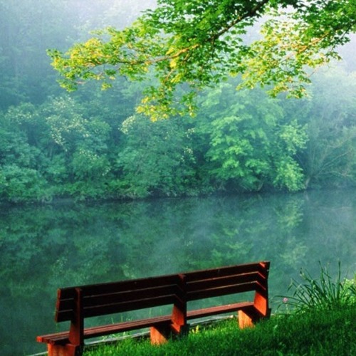eng_elqony شوفت الحليوه راكبه تاكسى . ثلاثى اضواء المسرح