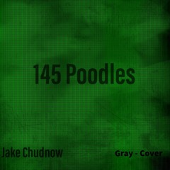 Jake Chudnow - 145 Poodles (Cover)