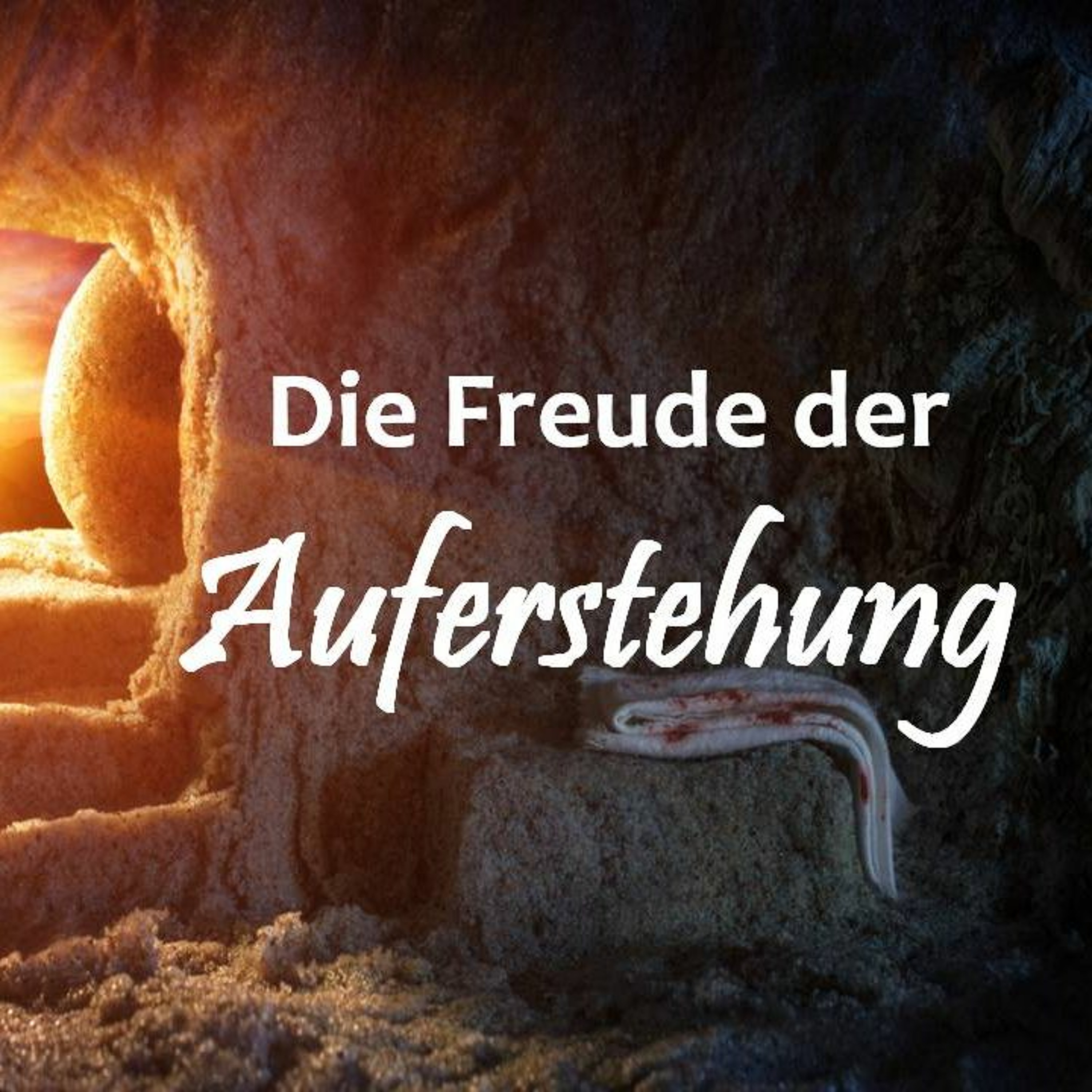 Every Nation Kirche Berlin Predigten