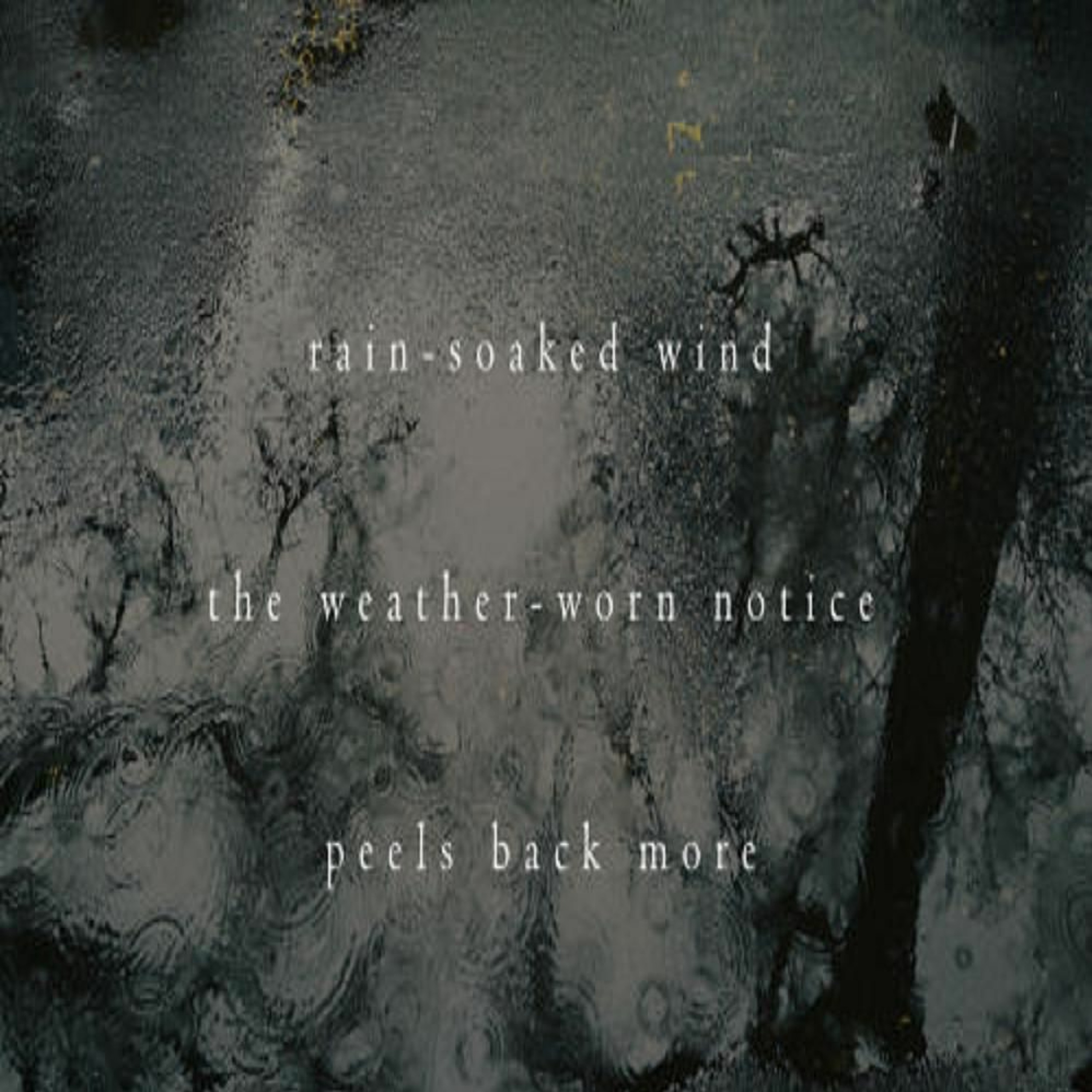 Rain Soaked Wind (Naviarhaiku 276) episode artwork