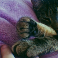 Don't Give Me Those Eyes - James Blunt