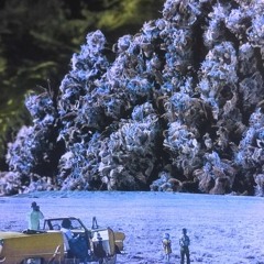 WOP $addi- Fragrance