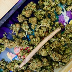 Mother Earth (feat. Amrit) [prod. RahDaDonn]