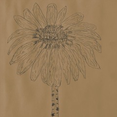 Let my baby stay by Mac DeMarco cover