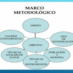 Marco Metodologico