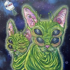 Experinece On alien