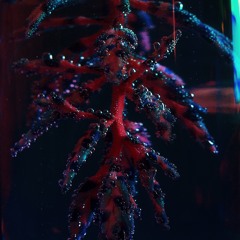 found ballads (joji type beat)