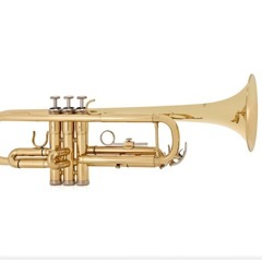 'Trumpet'  <Type beat>