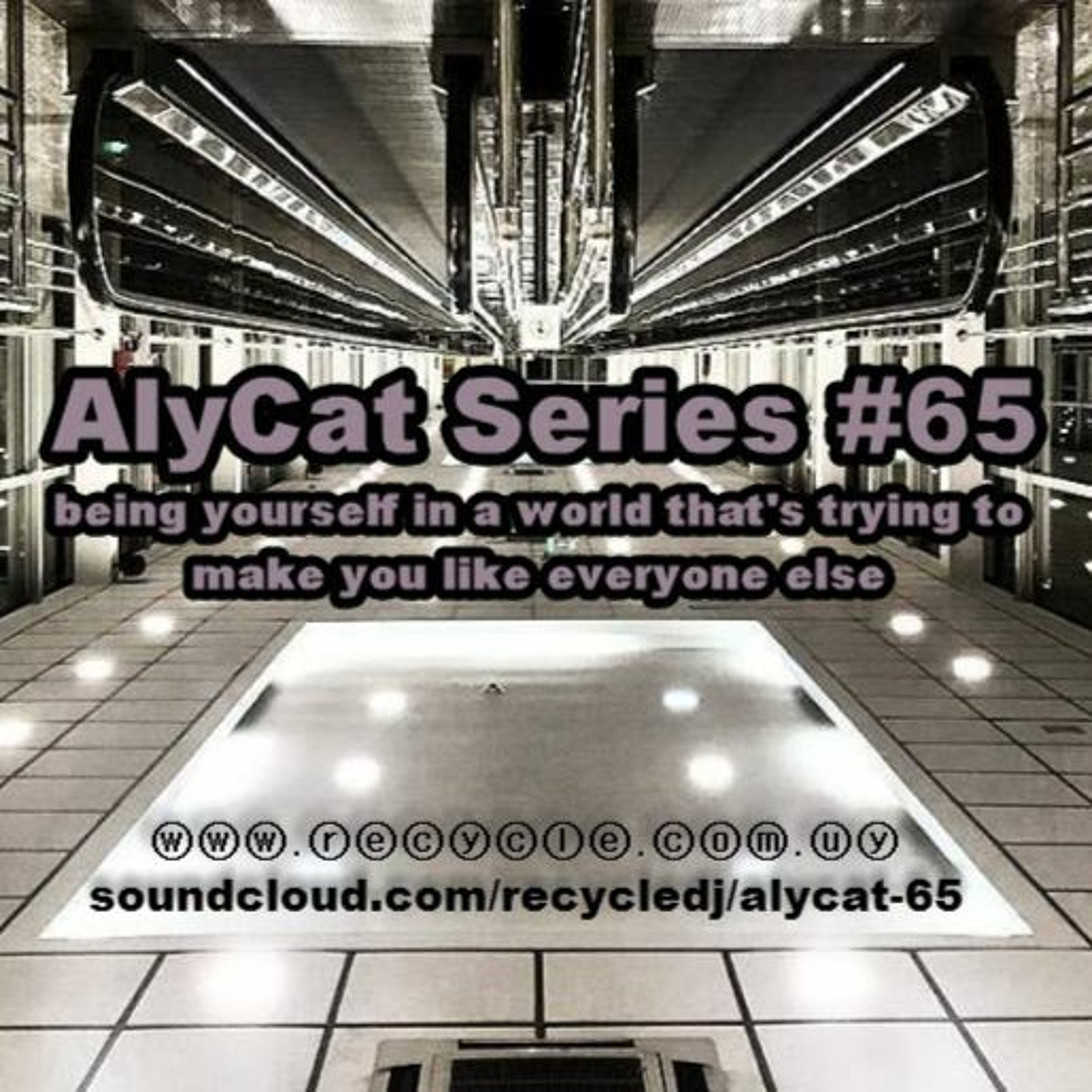 AlyCat Series by DJ RECYCLE