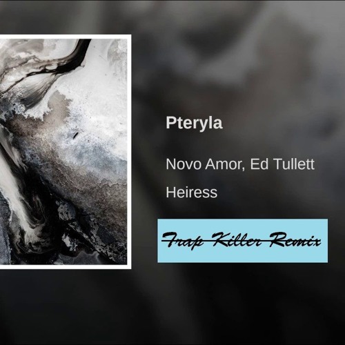 Novo Amor & Ed Tullett - Pteryla (Trap Killer Remix)