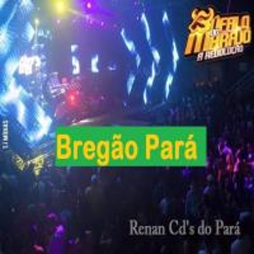 BANDA ANDIROBA - CARREGADOR DE APARELHAGEM