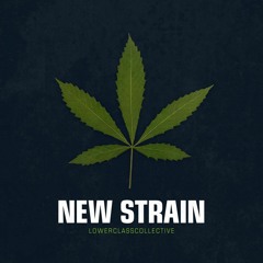 Lower Class Collective: New Strain