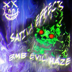 SATIVA EFFECTS (MIX)