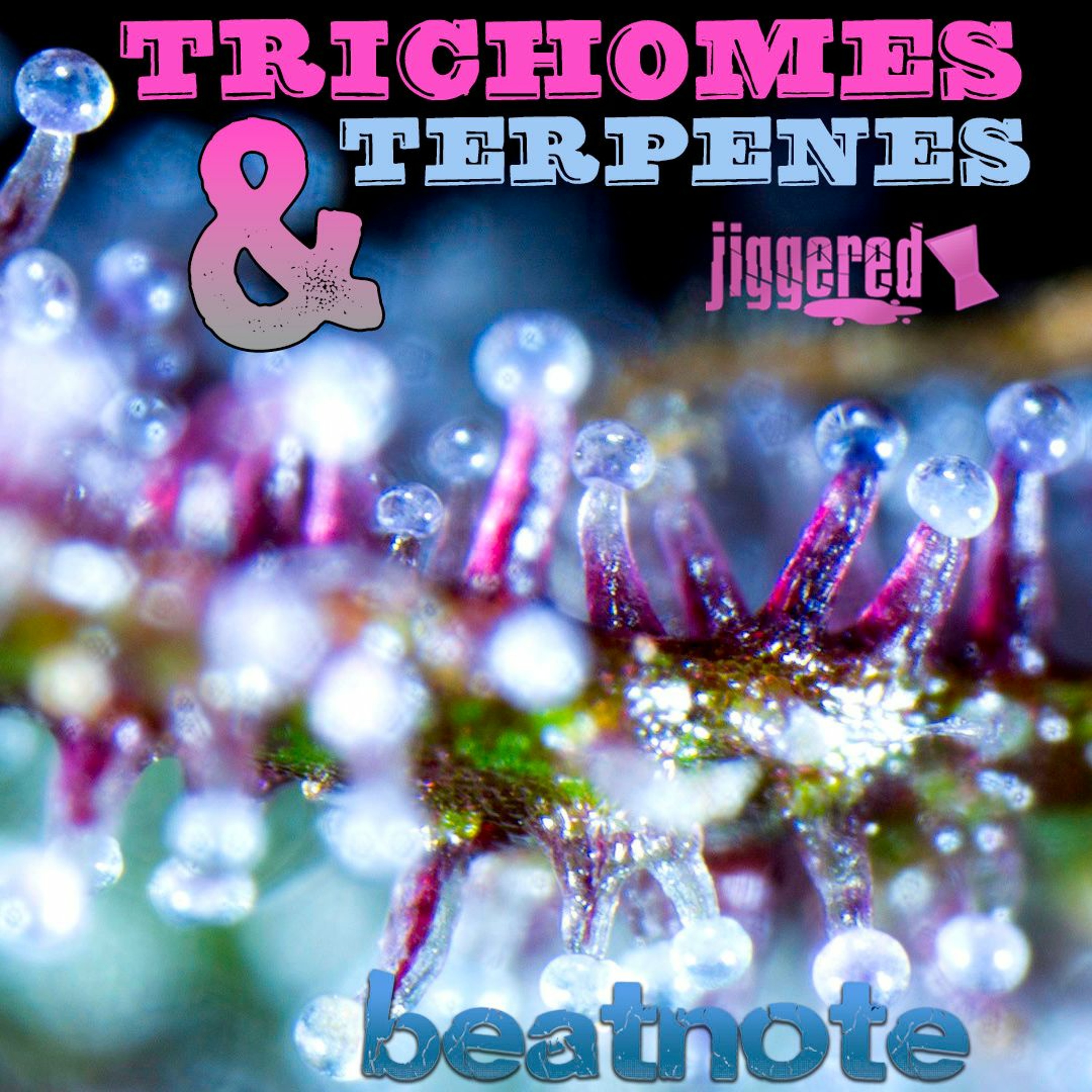 beatnote