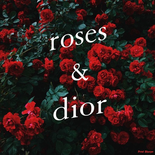 roses dior