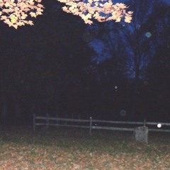 Мы Станем Лучше