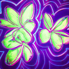 Void Continued electro-remix - Phoenix Two Feather - Heal My Soul