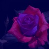 Juice Wrld Benny Blanco Roses Ft Brendon Urie Slowed Reverb Mp3