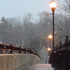 Winter Shuffle