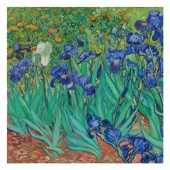 Scenes from a Memory | Part 2 - Irises