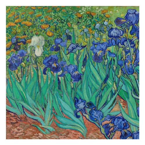 Scenes from a Memory | Part 2 - Irises