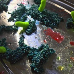 everglade - Notion Of Land